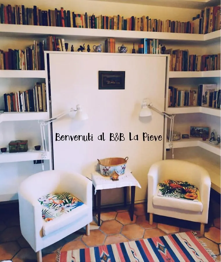 B&B 