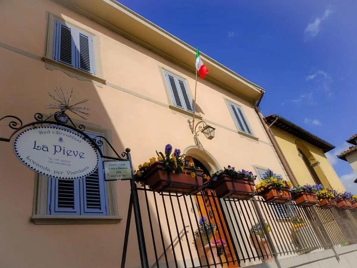 B&B 