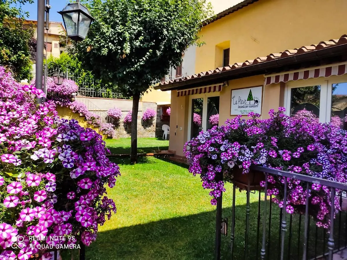 Couette-café B&B 
